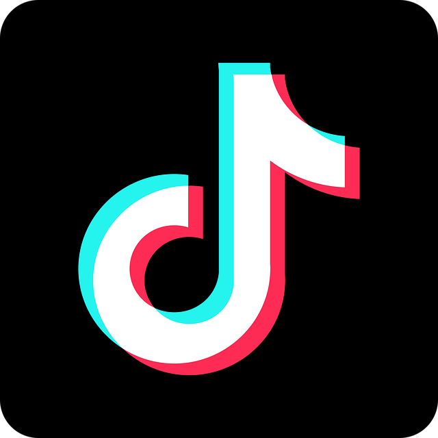 Iniciar sesión en TikTok